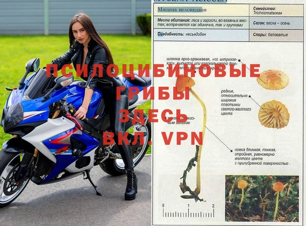 меф Верея