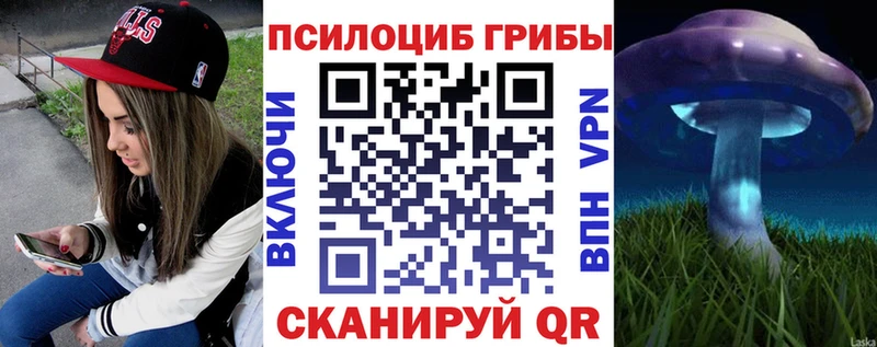 Псилоцибиновые грибы Psilocybine cubensis Чердынь