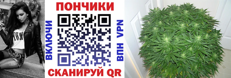 Купить  Чердынь  Шишки марихуана Amnesia 